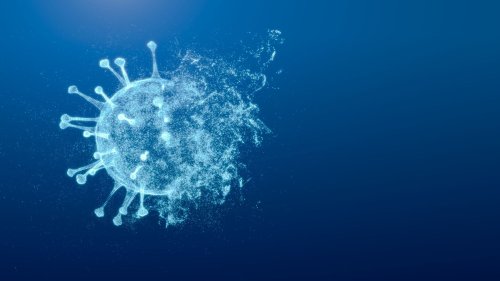 Coronavirus : avec Omicron, une fin de la pandémie en Europe "plausible", selon l'OMS