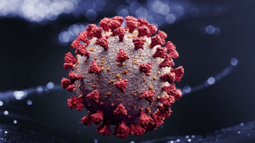 Coronavirus : l’immunité "naturelle" est-elle meilleure que l’immunité acquise suite au vaccin ?