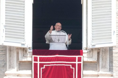 Papst Franziskus sagt wegen Fieber Audienzen ab