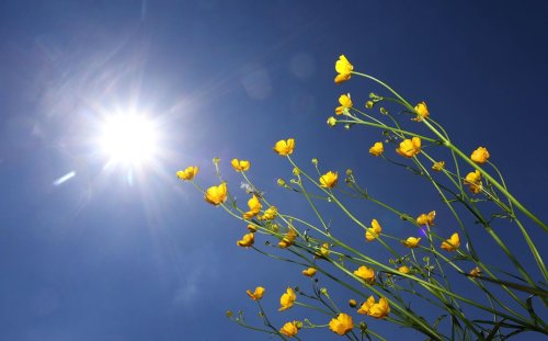 Sonniges Wochenende in NRW: Wochenstart wird ungemütlich