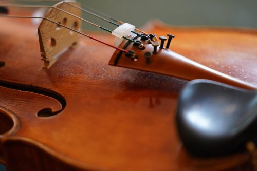 Mehr als 160 Musiker bei Landesfinale „Jugend musiziert“