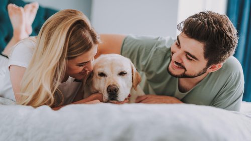 Umfrage: Großteil kuschelt lieber mit dem Hund als mit dem Partner - Sie auch?