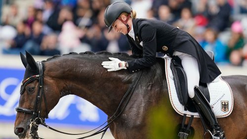 Jessica von Bredow-Werndl: Ihr Gold-Pferd Dalera wird Mama!
