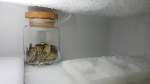Warum ihr immer eine Münze im Gefrierfach haben solltet