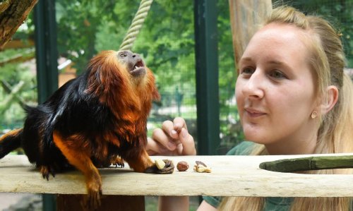Direkt nach der Ausbildung: 23-Jährige ist Tierpark-Chefin