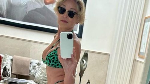Sharon Stone beweist mit sexy Selfie ihren Basic Instinct