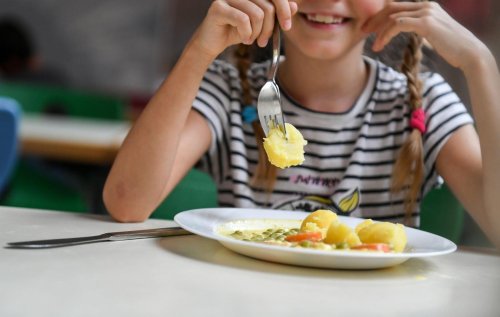 Grüne fordern kostenloses Bio-Essen für Bayerns Grundschüler