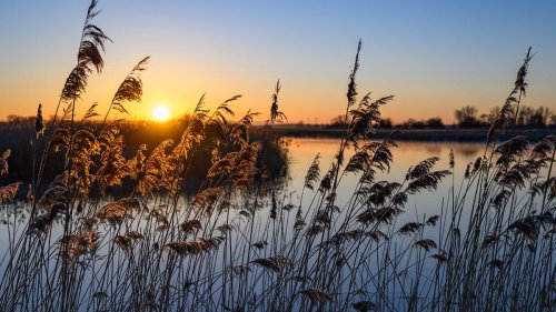 Frühling startet mit viel Wärme – aber Saharastaub und Schauer im Anmarsch