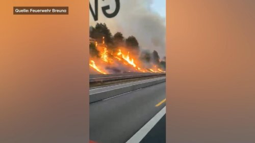 Hessen: Waldbrand an der A44 bei Kassel hält Feuerwehrmänner in Atem