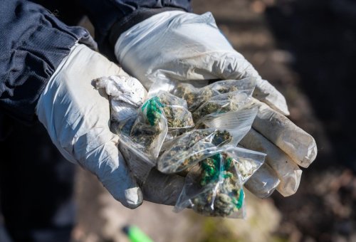 Razzia in vier Bundesländern: 13 Kilo Marihuana