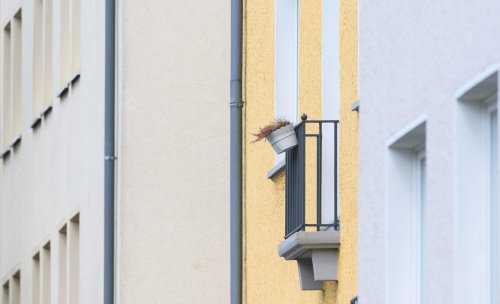 NRW erwartet „blaues Auge“ für Bund beim Wohngeld