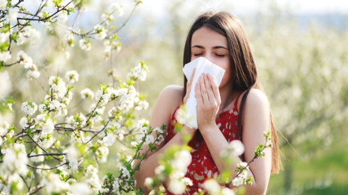 Heuschnupfen in voller Blüte! Was Betroffenen jetzt bei Pollen-Allergie hilft