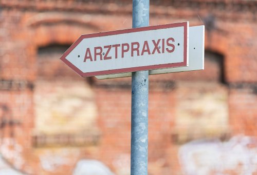 Warnung vor Hantavirus-Infektion beim Frühjahrsputz