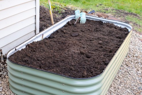 I’m Switching to Raised Beds with Vego Garden – Set Up & First Impressions