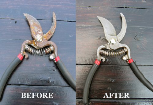 How to Easily Clean & Sharpen Your Pruning Shears