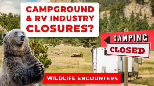 RV Industry and Camping Shutdowns, Starlink Mini, and Scary Wildlife Encounters