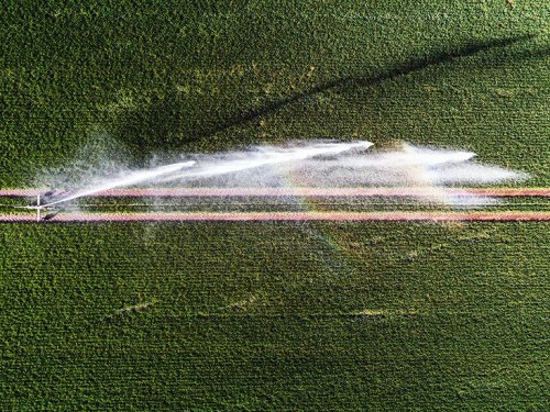 Another 3 common pesticides are now linked to Parkinson's disease risk