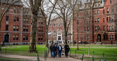 Trump’s Harvard fiasco underscores the White House’s incompetence crisis