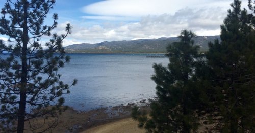 Parts of Lake Tahoe closed after chipmunks test positive for plague
