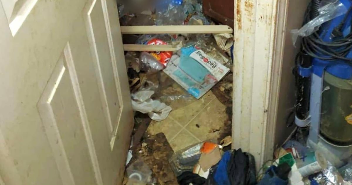 3 Michigan children found living alone in 'absolute squalor' after mother abandoned them for