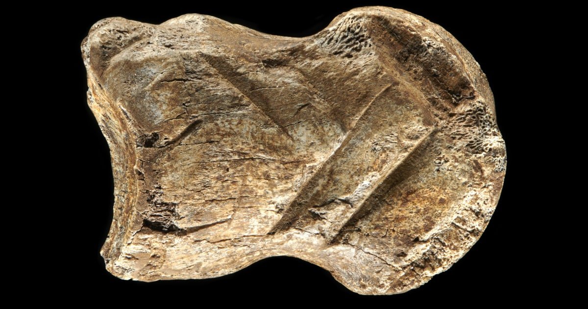 A 51,000-year-old carved bone is one of the world's oldest works of art, researchers say