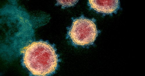 Influenza cover image