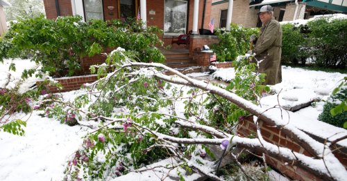Colorado snowstorm topples trees, knocks out power for 210,000