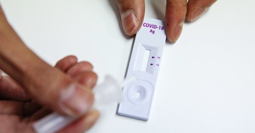 The White House is offering 4 more free Covid tests. Here's how best to use them.