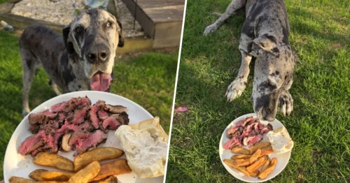 Texas Roadhouse fulfills customer’s special request — his dog’s last meal