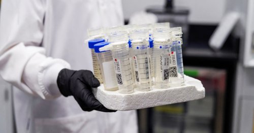 Despite recent uptick, Covid leveling off in some areas of the country, wastewater testing shows