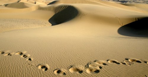 To fend off global warming, a 'moonshot' plan to flood the deserts