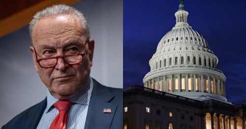 Schumer 'missed the moment': Dem Strategist