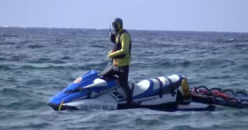 Snorkeler missing in Hawaii following shark attack