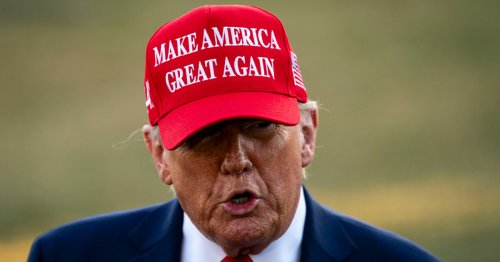 58 crypto wallets have made millions on Trump's meme coin while 764,000 have lost money, data shows