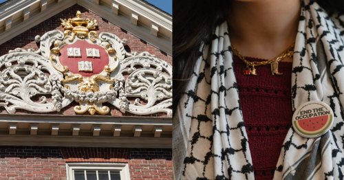 Harvard students and faculty face the fallout from a showdown with Trump