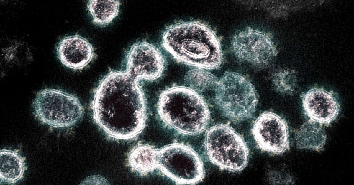 WHO names new variant of concern 'omicron,' as scientists advise caution