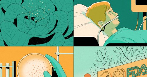 A deadly E. coli outbreak hit 15 states, but the FDA chose not to publicize it