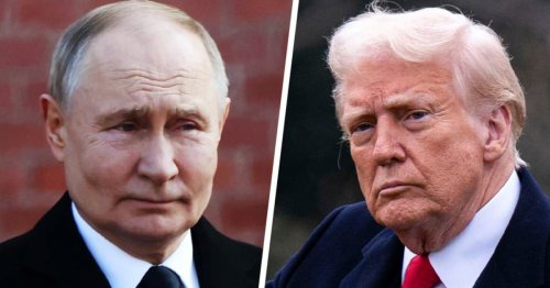 Trump says Putin talks will cover Russia and Ukraine 'dividing up certain assets'