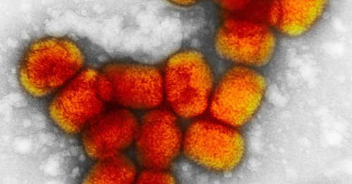 vials-labeled-smallpox-found-by-lab-worker-cleaning-freezer-in-pennsylvania-flipboard