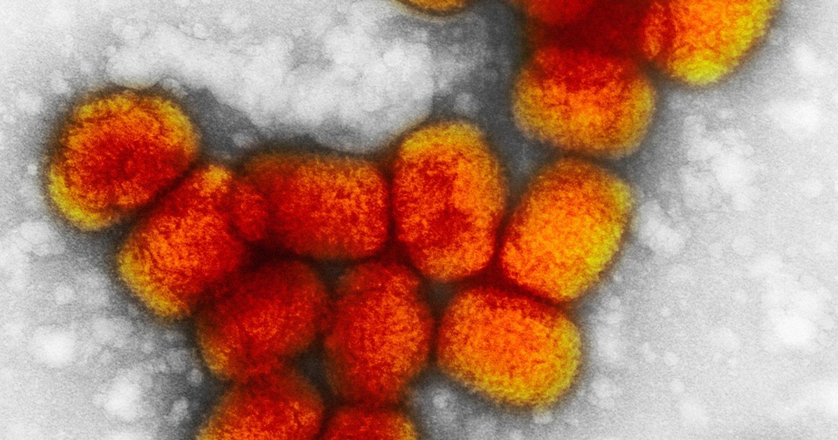 Smallpox vaccine for monkeypox: U.S. has 100 million doses stockpiled that could protect against monkeypox
