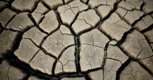 Early-warning tools aim to prevent 'water wars,' curb droughts