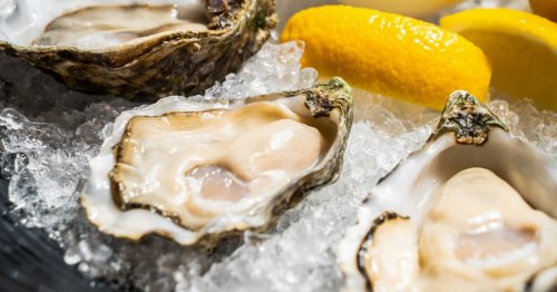 2 contracted bacterial infections and died after eating raw oysters in Florida, officials say