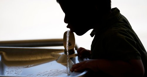 When the F-word is 'fluoride.' Florida may be next to ban the mineral from water supplies.
