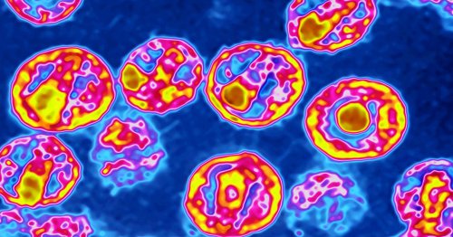 A 5th person is likely cured of HIV, and another is in long-term remission