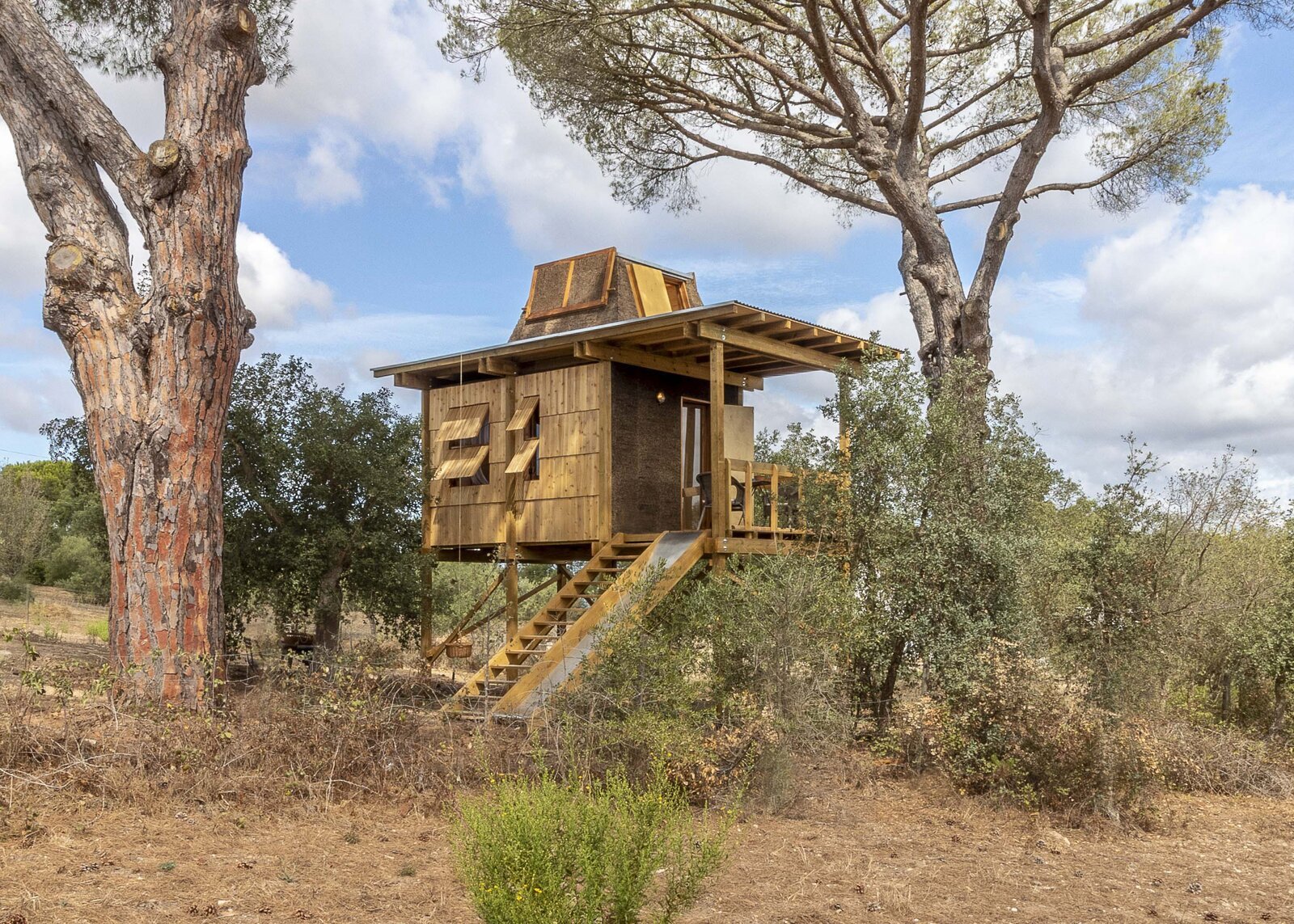 260 Square Feet of Tree House Is All a Portuguese Family Needs for the Summer