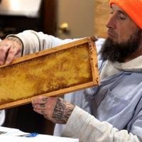 Louisiana AgCenter brings beekeeping lessons to state prison staff, inmates