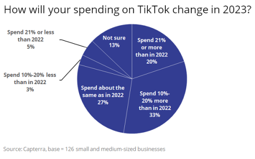 Most Small Businesses See Sales Results From TikTok Ads