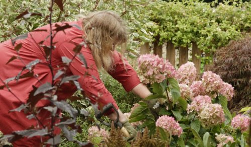 The Connection Between Gardening and Happiness