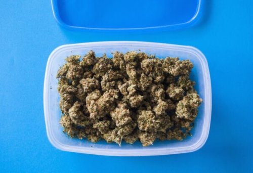 6 Ways you're storing your cannabis stash wrong (and how to do it right) | GreenState
