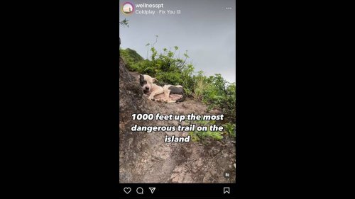 Runner beats setting sun to rescue dog alone on ‘treacherous’ Hawaii trail, video shows